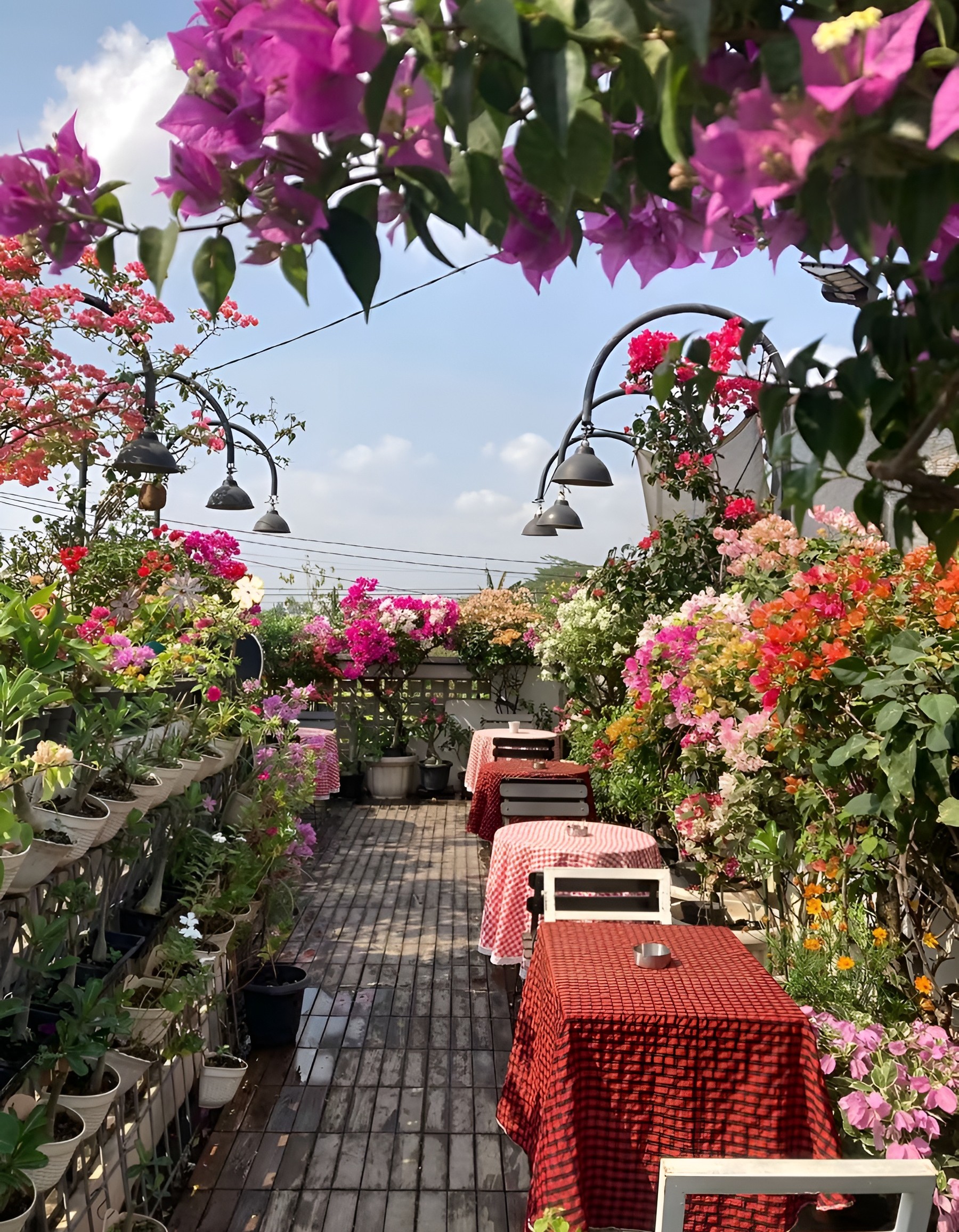 in.di Coffee & Chocolate Kudus, Cafe Hidden Gem dengan Vibes Ghibli dan Rooftop Penuh Bunga!